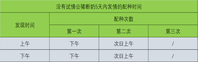 母猪配种时间