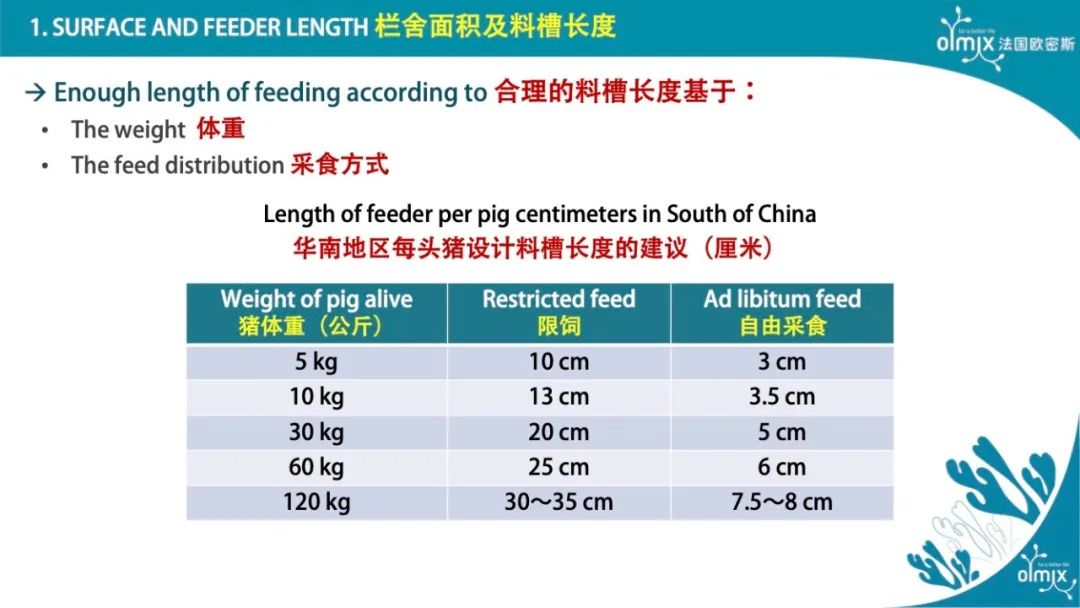 料槽长度：过短会影响猪群均匀度