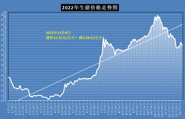 12月8日猪价大幅下挫，玉米行情转向，小麦跌惨！为何如此反常？