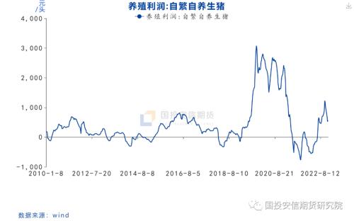 【点石成金】猪价跌跌不休，后市走势如何？