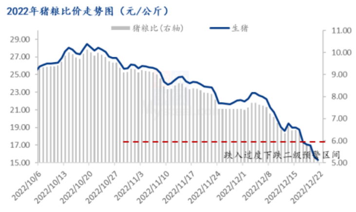 猪粮比进入过度下跌二度预警区间！业内预测：2023年生猪均价可能在18-20元/公斤