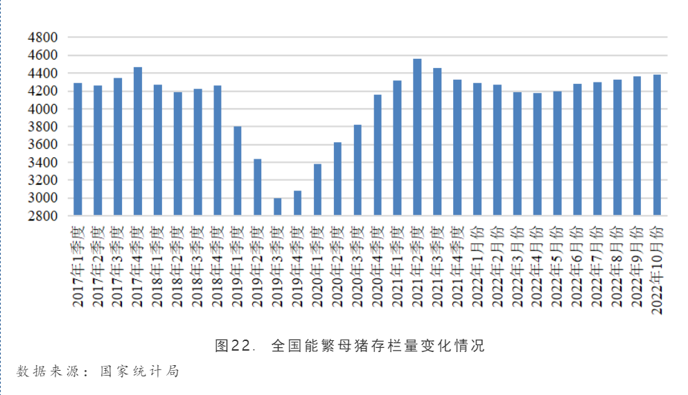 猪粮比进入过度下跌二度预警区间！业内预测：2023年生猪均价可能在18-20元/公斤