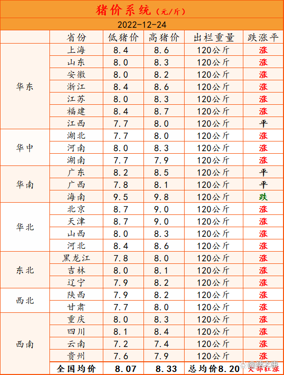 12月24日猪市一片红彤彤，多地重回“8元时代”！能涨多久？