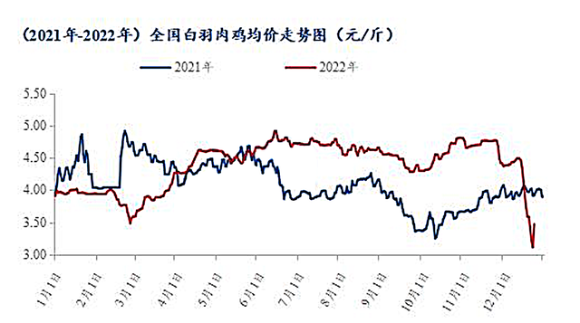 白羽肉鸡价格走势图