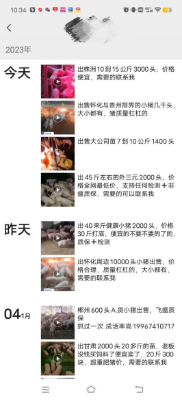 7公斤仔猪降到300元一头，到底能不能抓？