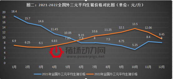 7公斤仔猪降到300元一头，到底能不能抓？