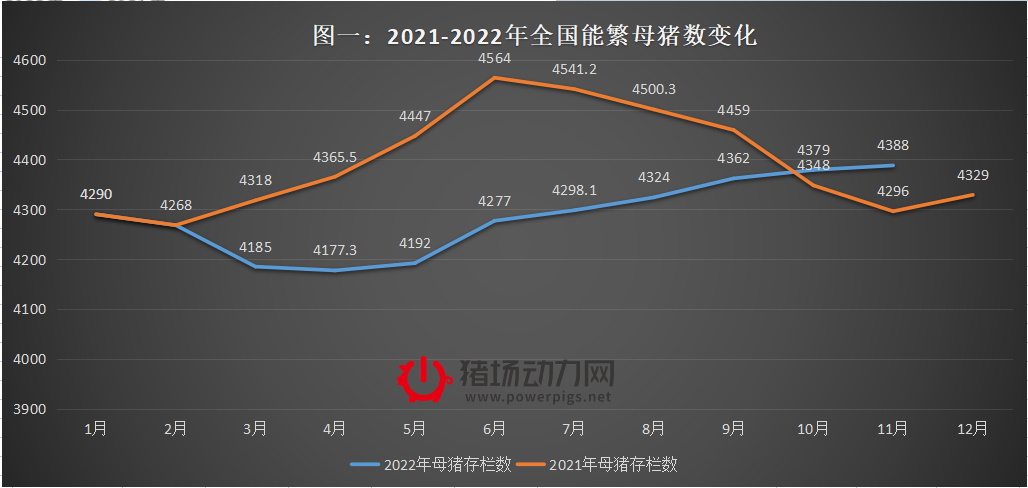 7公斤仔猪降到300元一头，到底能不能抓？