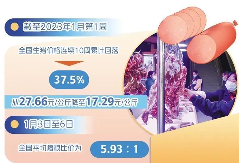 猪粮比