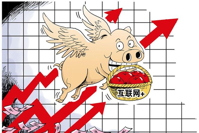 猪价飘红
