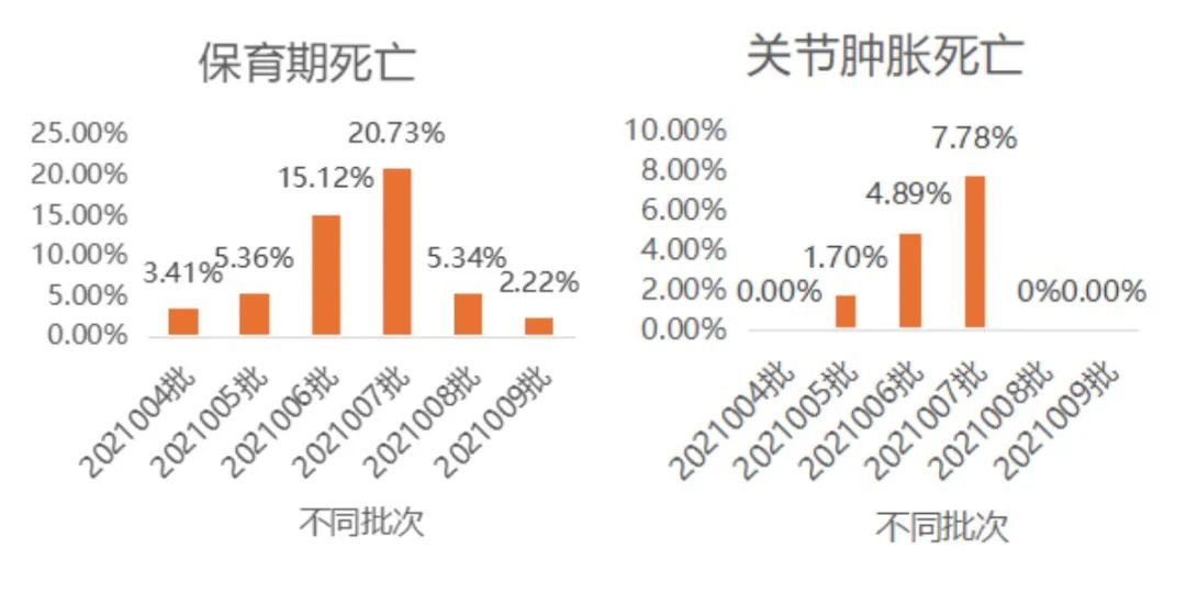 下载 (1).jpg