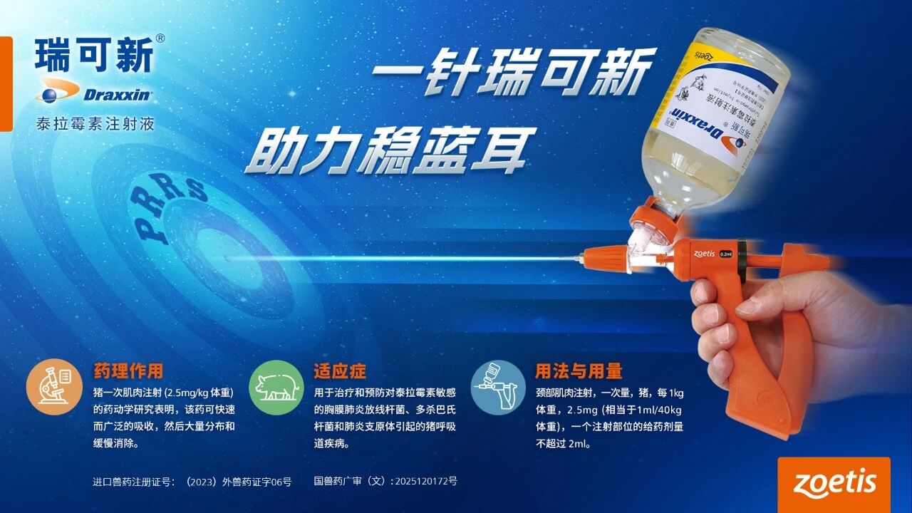 从猪周期阵痛到被 ST：龙大美食给养猪行业的真实警示-农兜网
