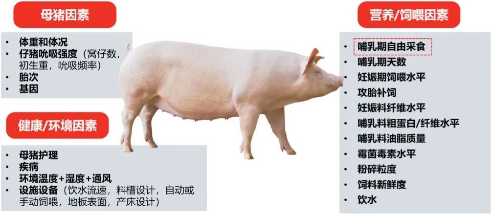 图片 2.jpg