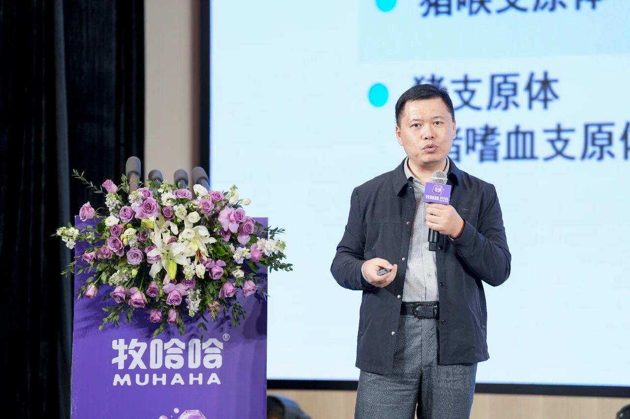 d18a795acc297091a5e88813a6f85e01.jpg